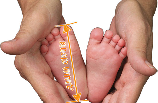 Какой размер ноги у ребенка в год или размер ноги ребенка по возрасту и как правильно измерять ступню малыша - соответствие размерной сетки • Твоя Семья